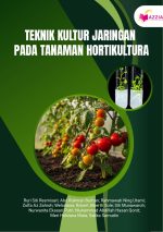 Teknik Kultur Jaringan pada Tanaman Hortikultura
